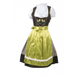 German Dirndl Dress Vintage Green