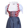 Wensky Midi Denim Dirndl Red Check