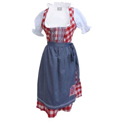 Wensky Midi Denim Dirndl Red Check